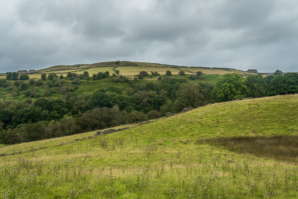 Abney Low